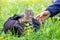 A woman reaches out to a kitten sitting in a backpack