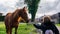 Woman reaching out to a wild horse to gain trust, Asturias, Spain.