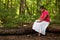 Woman Reading the Bible in a Forest Preserve While Sitting on a Log