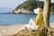 Woman reading a book on a beach