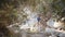 Woman recording video on mobile while walking among stones