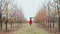 Woman in red coat, hat and umbrella walking alone between trees in apple garden at autumn season. Girl goes ahead away