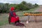 Woman in red dress and hat sells pineapples by the roadside in rural Transkei, South Africa.