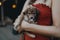 Woman in red dress holds cute puppy in hands