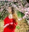 Woman in red dress standing near blooming peach tree