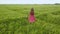 A woman in red dress walking in green wheat field.