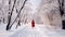 A Woman in red dress walking on a path in Winter landscape with fair trees under the snow. Scenery for the tourists. Christmas