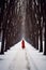 A Woman in red dress walking on a path in Winter landscape with fair trees under the snow. Scenery for the tourists. Christmas