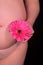 Woman with red gerbera flower, pregnancy and spring tenderness