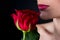 Woman red lips and rose