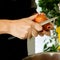 A woman with red nails cuts a brown onion with a knife