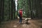 Woman in a red raincoat walks with two dogs in the forest. Hiker woman and 2 guide dogs playing in the forest.Walk with 2 mongers