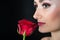 Woman with red rose. Beauty with flower. Sensual beauty. Tender as flower. Skincare and spa treatment. Valentines day