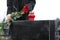 Woman with red roses, focus on candle. Funeral ceremony