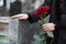 Woman with red roses near grey granite tombstone, closeup. Funeral ceremony