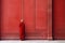 A woman in a red sari in an ancient Indian temple.