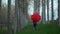 Woman with Red Umbrella Walking Away From the Camera Through The Tree Alley on Cloudy Afternoon