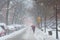 A woman with an red umbrella walks down a snowy street during a snow storm in Brooklyn Heights  NYC