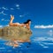 Woman relaxation in the beach