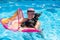 Woman relaxing with black pinscher dog on a flotation device in the swimming pool