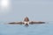 Woman Relaxing In Infinity Pool