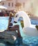 woman relaxing in luxury swimming pool resort hotel on big inflatable unicorn floating pegasus float