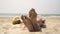 A woman is relaxing and sunbathing on a tropical sea beach. Feet in sand closeup