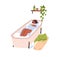 Woman relaxing in water in bathtub. Young adult girl taking bath with foam and duck toy. Person resting at home bathroom