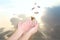 Woman releasing butterflies against beautiful sky, closeup. Freedom concept