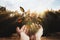 Woman releasing butterflies in forest on sunny day. Freedom concept