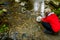 Woman releasing Chum fry into Kanaka Creek