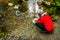 Woman releasing Chum fry into Kanaka Creek