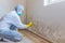 Woman removes mold from wall using spray bottle with mold remediation chemicals