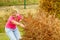 Woman removing dried thuja tree from backyard