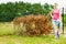 Woman removing dried thuja tree from backyard