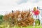 Woman removing dried thuja tree from backyard