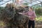 Woman removing rotten leaves of plants