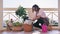 Woman replanting hibiscus plant into a new ceramic pot on the terrace