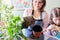 Woman replants purchased houseplant flower pelargonium in larger pot