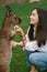 Woman in the reserve is playing with a kangaroo