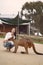 Woman at a reserve is playing with a kangaroo