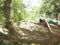 Woman Resting On Tree Branch In Forest