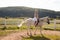 The woman restores her mental health by riding a horse