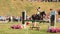 A woman rider on a bay horse jumps over barriers, Grudziadz, Poland - June 18, 2023