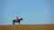 Woman rider rides a white horse in a field . Slow motion