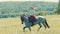 Woman rider riding a gray horse in a summer field with wildflowers