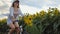 Woman riding a bicycle along a sunflower field