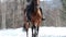 A woman riding a brown beautiful horse in the forest on a snowy ground