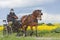 Woman riding carriage