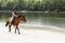 A woman is riding a horse along the river.